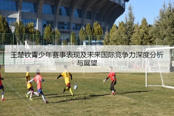 王楚钦青少年赛事表现及未来国际竞争力深度分析与展望